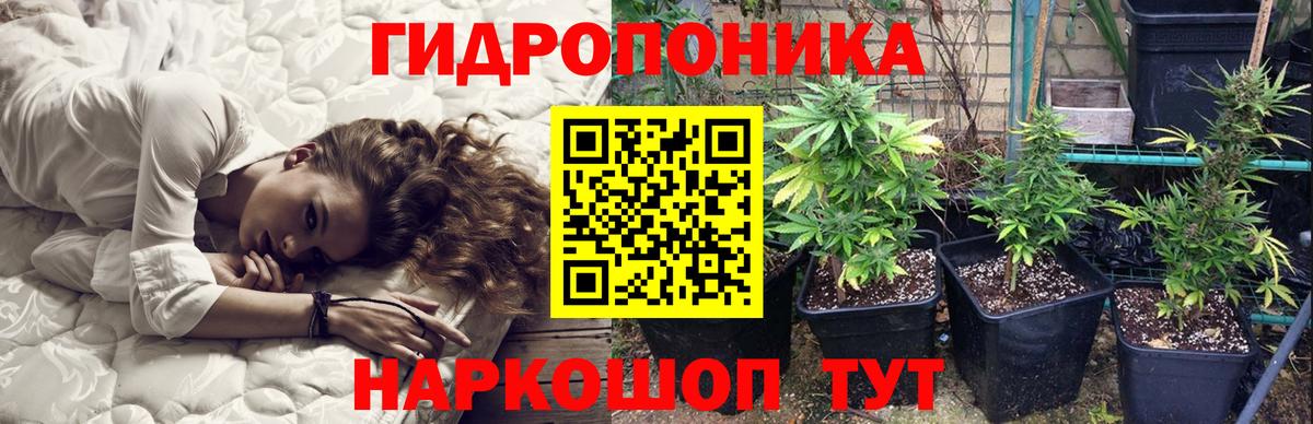 Дедовск  Бошки Шишки SATIVA & INDICA  Каннабис Amnesia  Вход с VPN  Бошки марихуана SATIVA & INDICA  Бошки марихуана Bruce Banner 